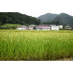 神奈川県の農地を資材置き場にする方法とは？
